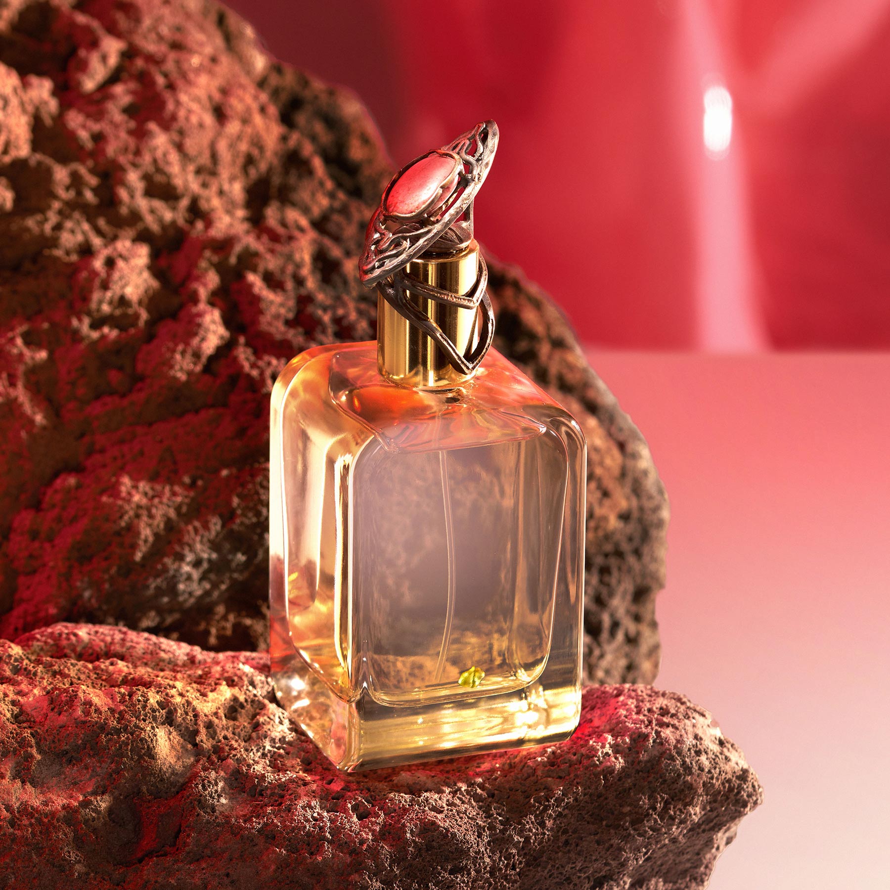 香りのDM便 Mendittorosa – NOSE SHOP