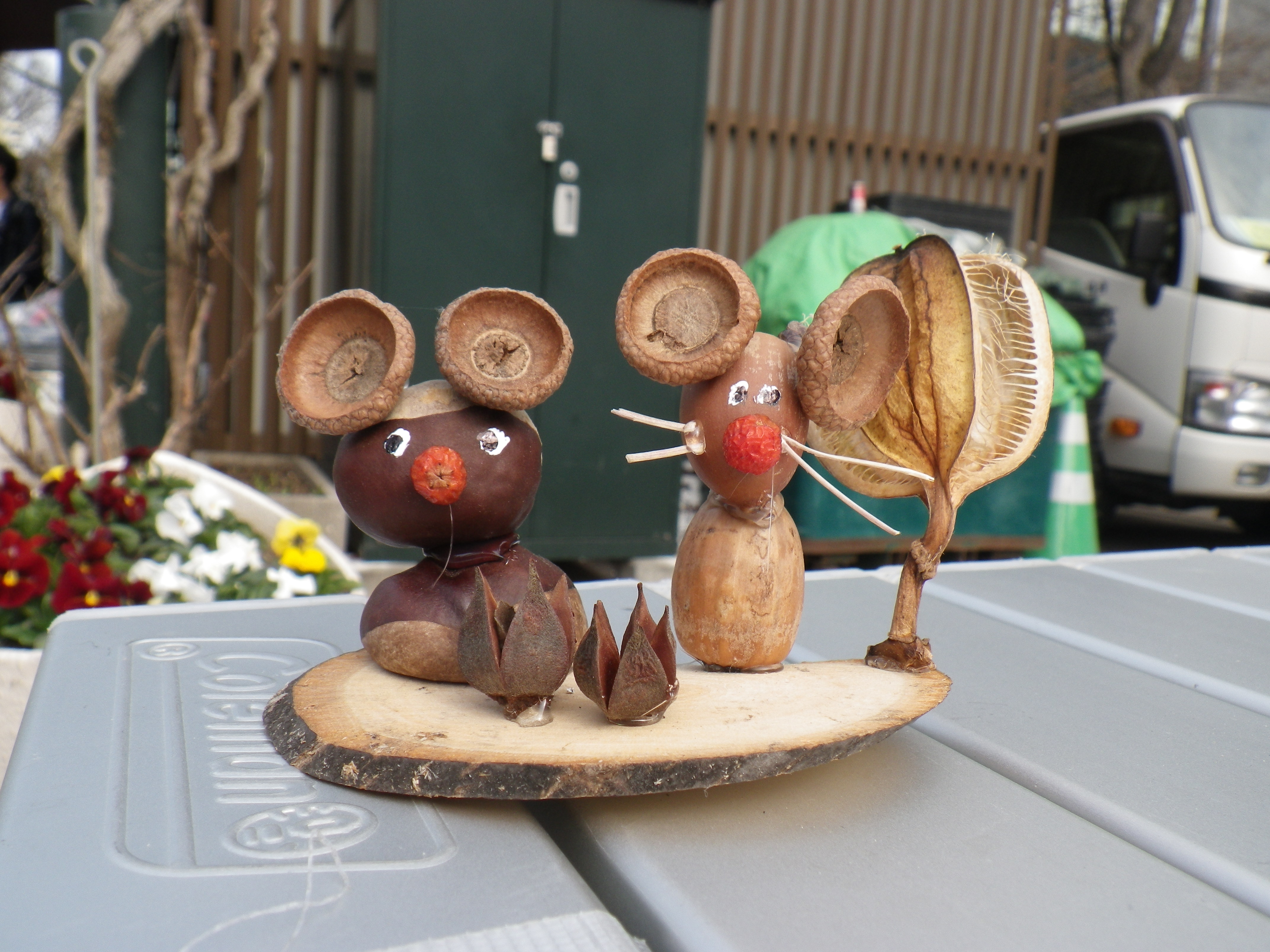 どんぐりクラフトの開催 | 大通公園 -公益 財団法人 札幌市公園緑化協会