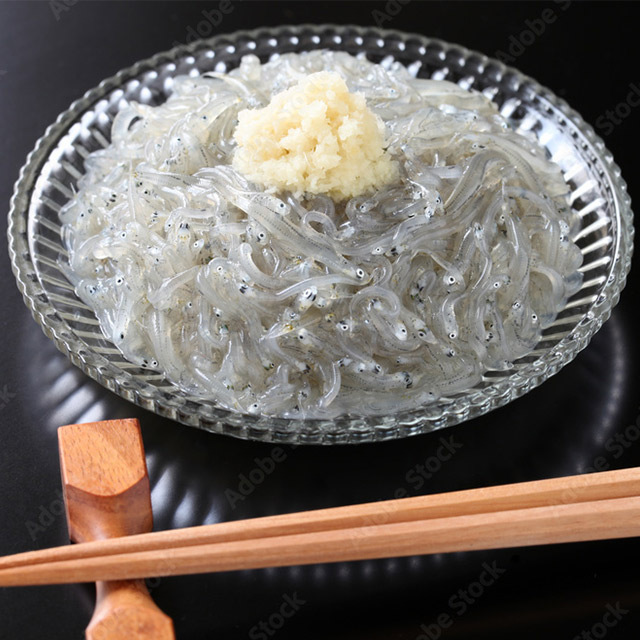 シラス しらす お歳暮 生しらす(生食用) 240g (120g×2) 贈答用 冷凍