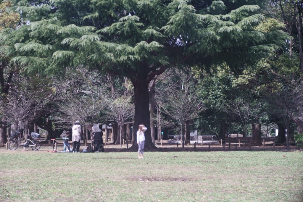 Leitz Elmar 90mm f4 3rd Review作例 Leica銘玉おすすめオールドレンズ