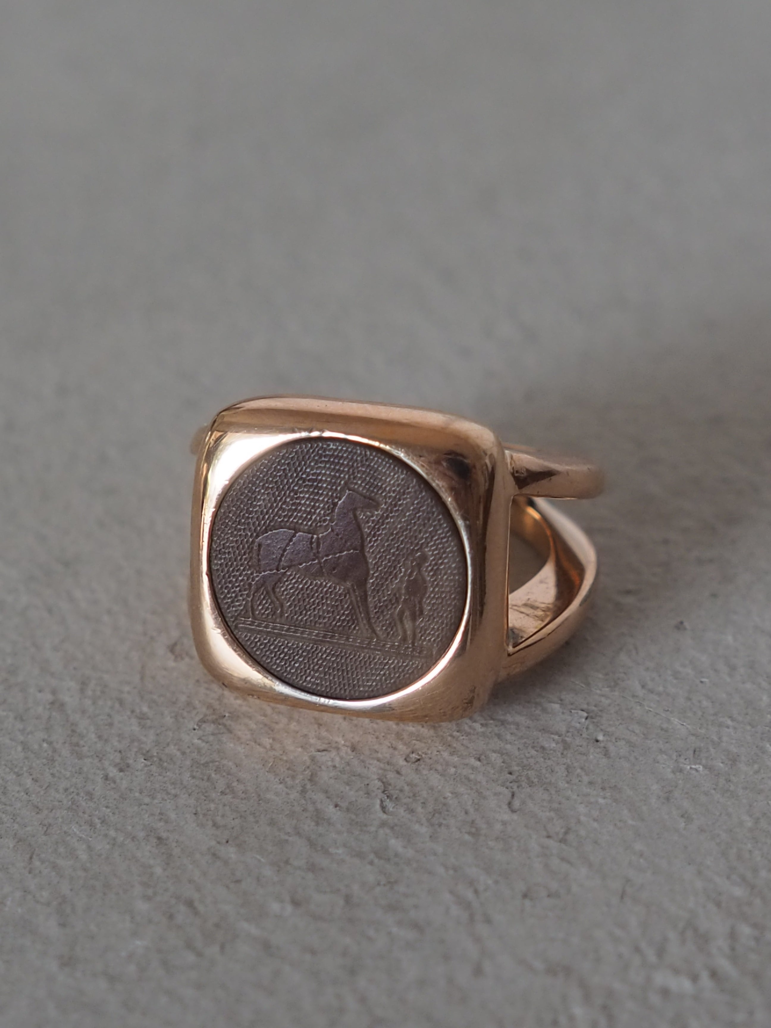 P8220045.jpg?crop=center&