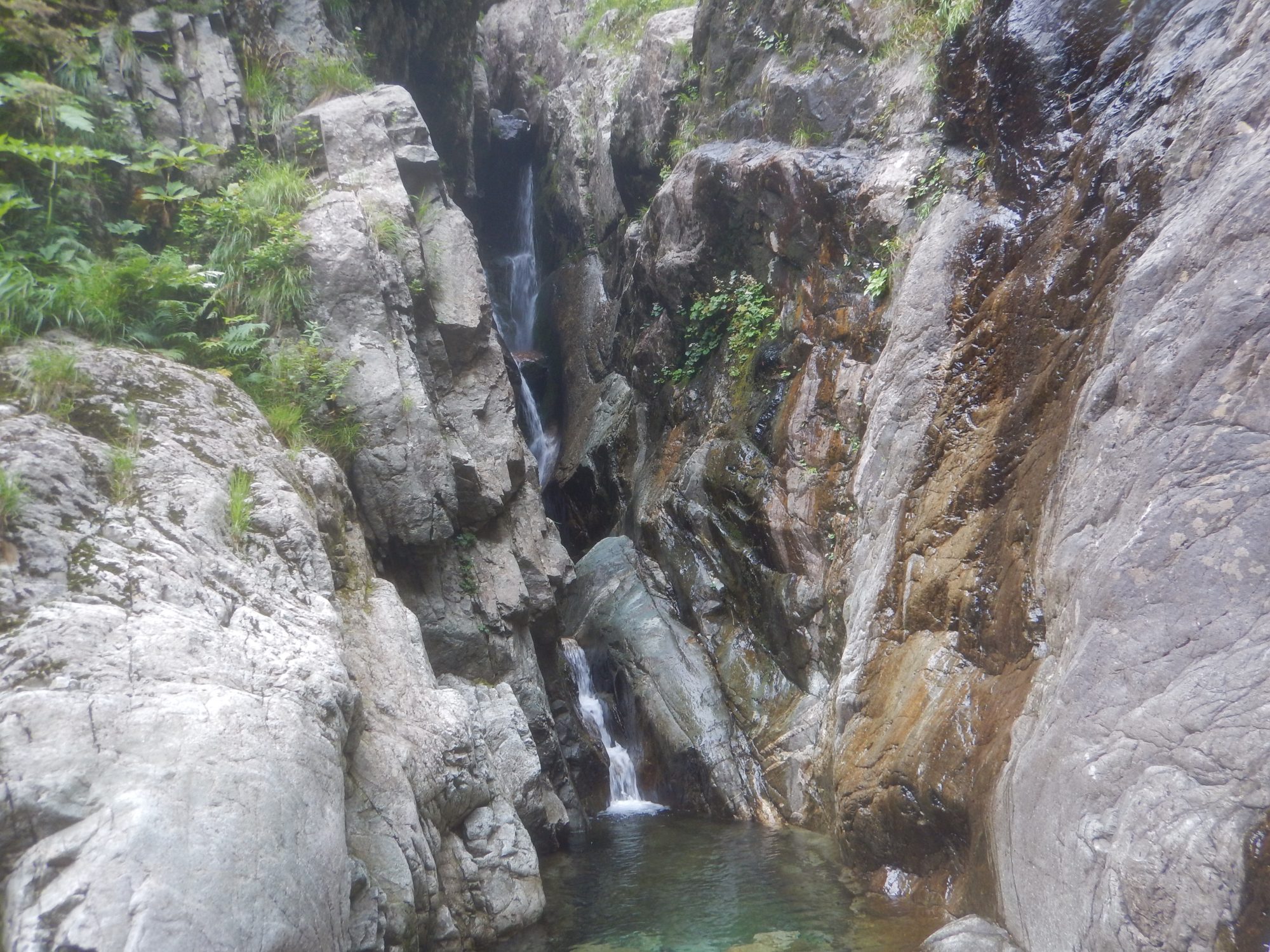 朝日連峰 三面川岩井又谷 ガッコ沢 – 大阪わらじの会