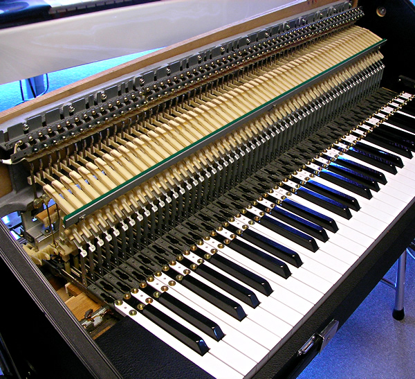 organ69 : [ep010]Columbia Elepian EP-61C