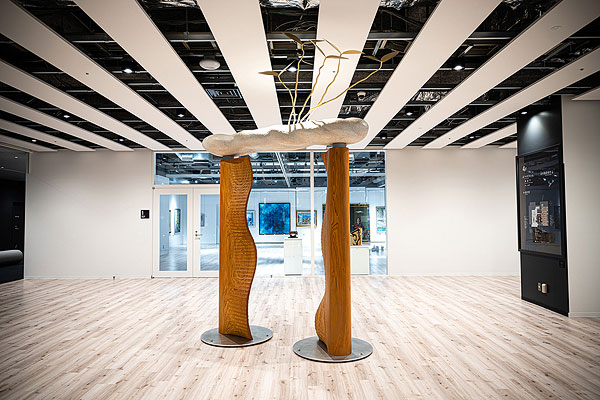 市民会館おおみや「RaiBoC Hall（レイボックホール）」（埼玉県