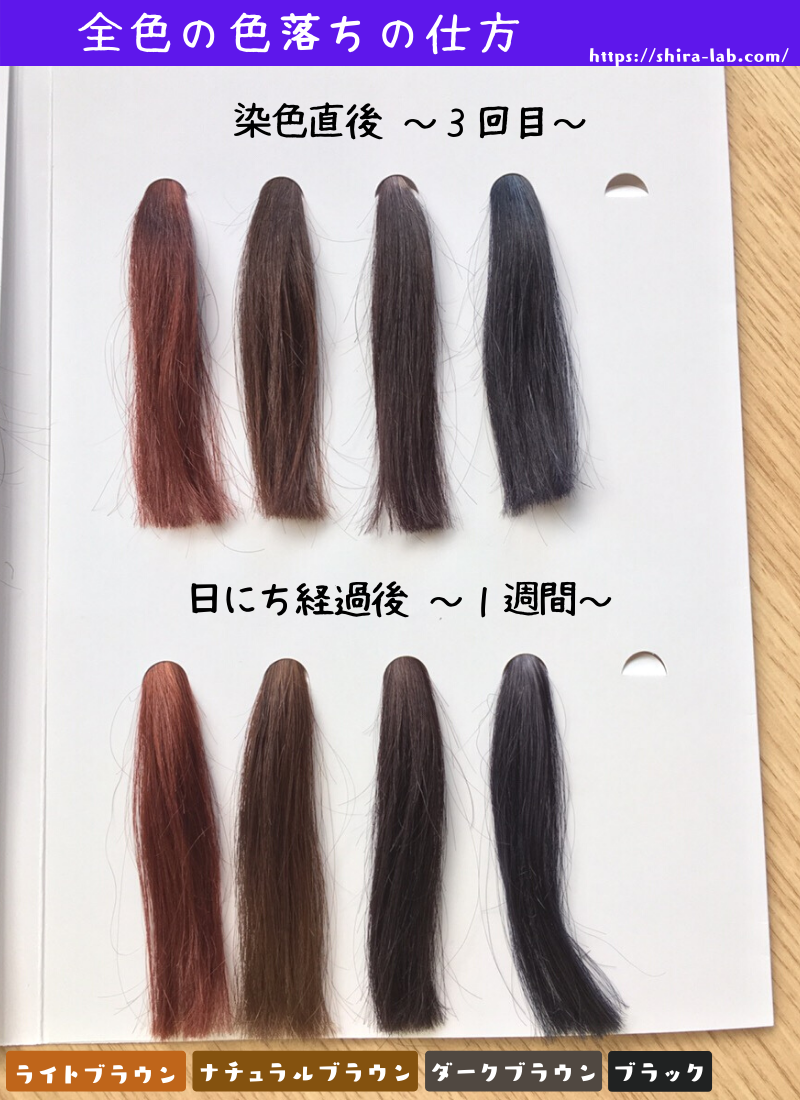 利尻ヘアカラートリートメントの使い方は難しい？コツを専門家が解説