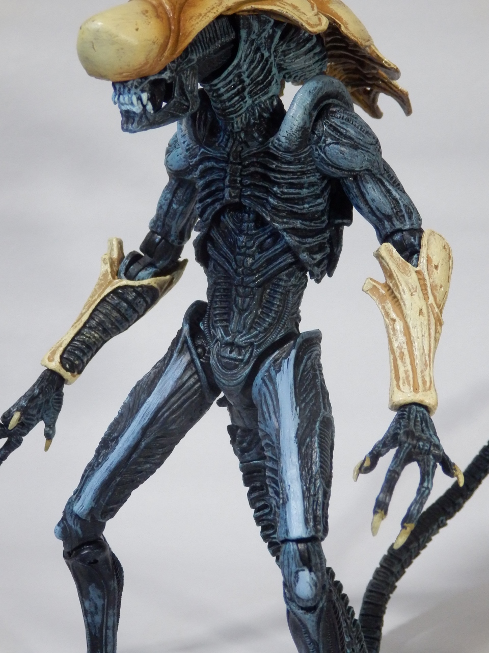 レビュー:NECA(ネカ) クリサリス エイリアン | オタクin東毛