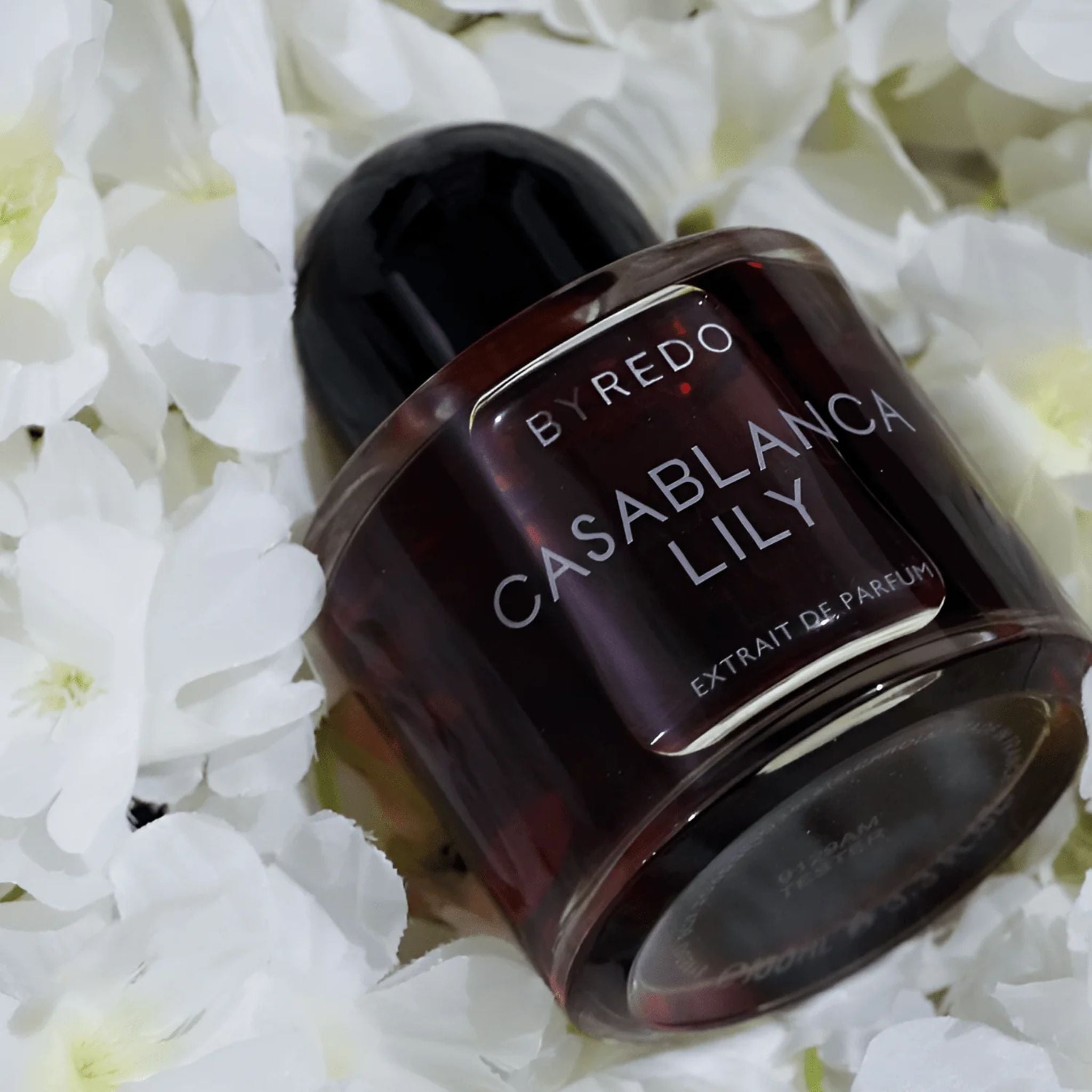 Byredo Casablanca Lily - An Ode to the Night · Parfum Exquis US