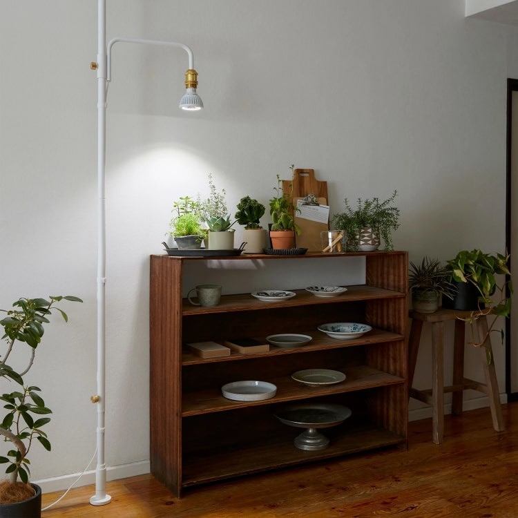 ドローアライン ライトスタンドセット(縦つっぱり用) | ドロー・ア