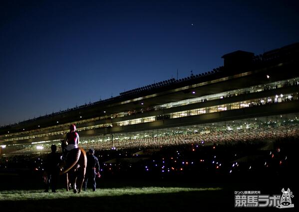 ユーキ　オルフェーヴル　引退式額装写真　レース写真同梱