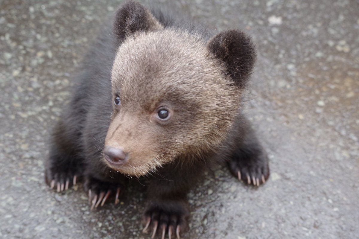 D5JxHD4VUAAkHgt.jpg?format=jpg