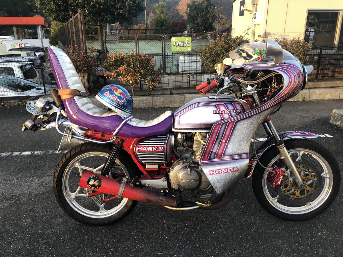 ヤシメガ初期 【公式通販】