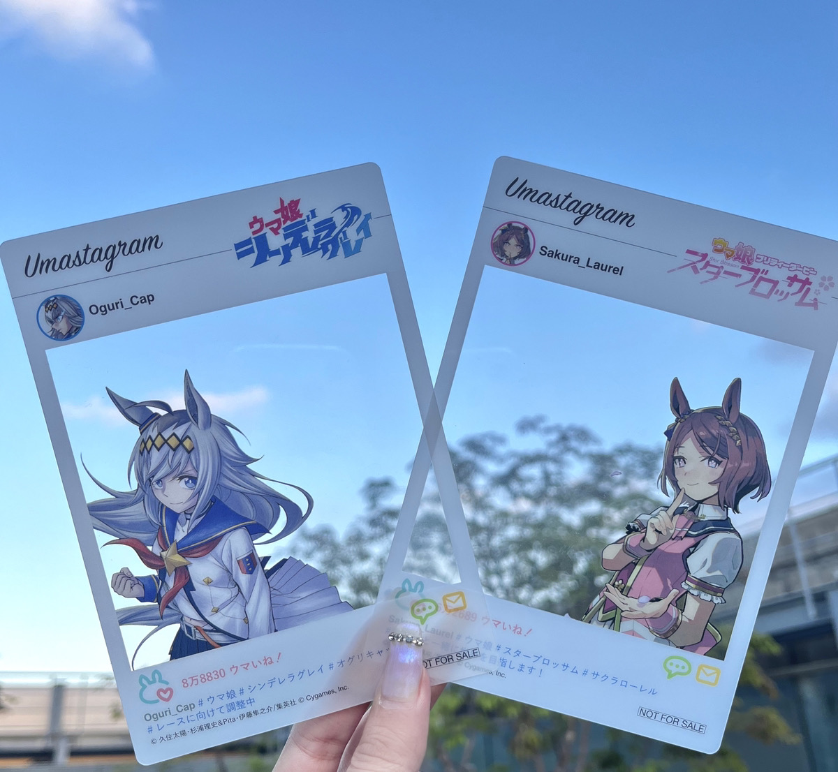 ◤🌟購入者特典🌟◢| 『#ウマ娘 シンデレラグレイ』 9月19日(火)の12巻