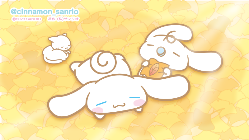 Post by シナモン【公式】 on X: ぽわわ〜ん♪