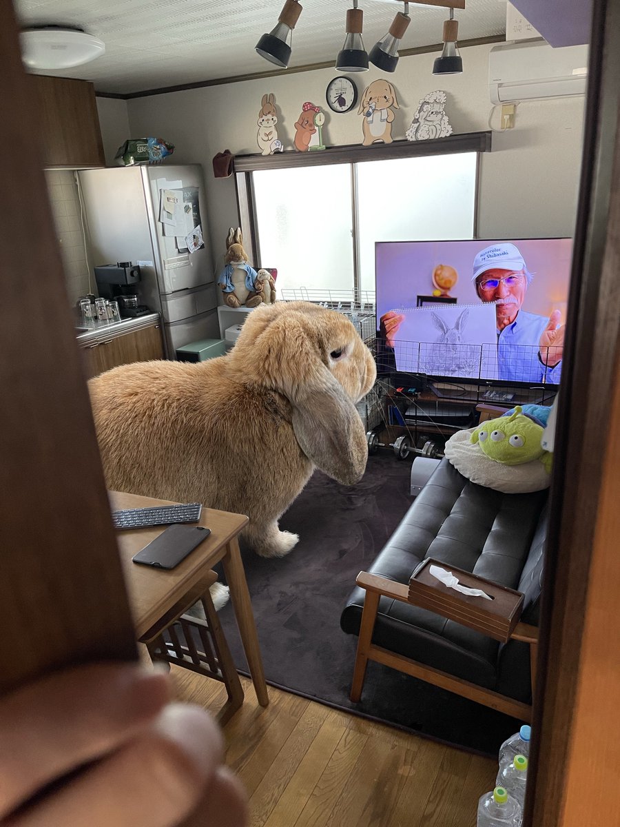 もっちゃん（TAKUMI） (@koedo_tyan) / Posts / X