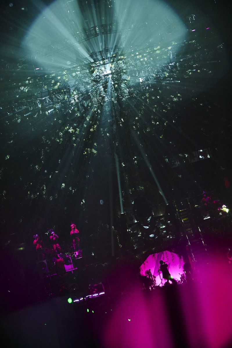 WOWOW にて 19:00 2日目の、ZUTOMAYO FACTORY「鷹は飢えても踊り忘れず