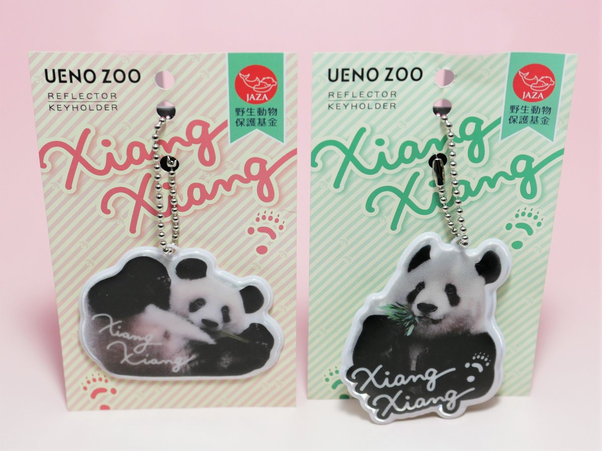 通信販売サイト『Tokyo Zoo Shop』にて、シャオシャオ＆レイレイの1歳