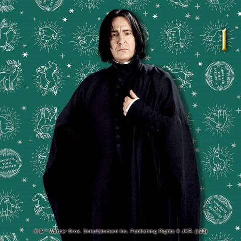 ハリーポッター】 #スネイプ先生 の日めくりカレンダー登場です