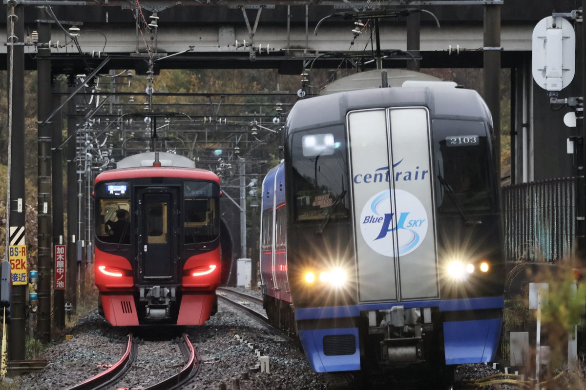 12月25日🎄 名鉄2000系ミュースカイ 2003F クリスマストレイン ブルー