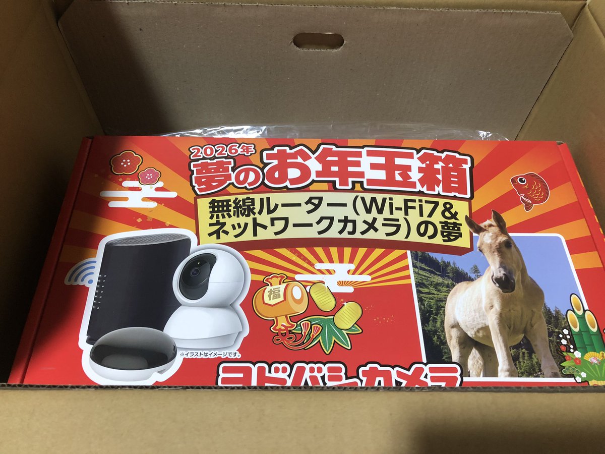 ヨドバシカメラの無線ルーター(Wi-Fi7&ネットワークカメラ)の夢届き