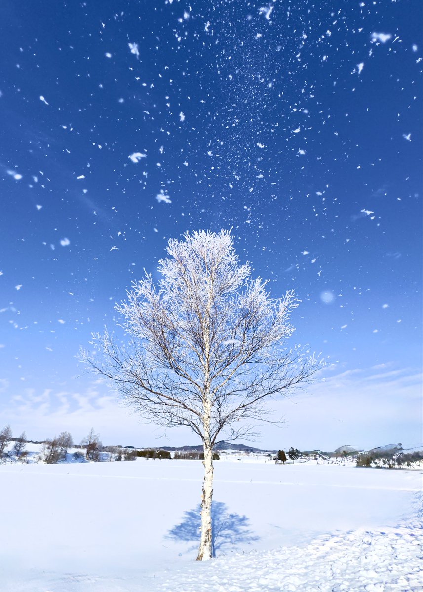 青が好き。 (@o13840) / Posts / X