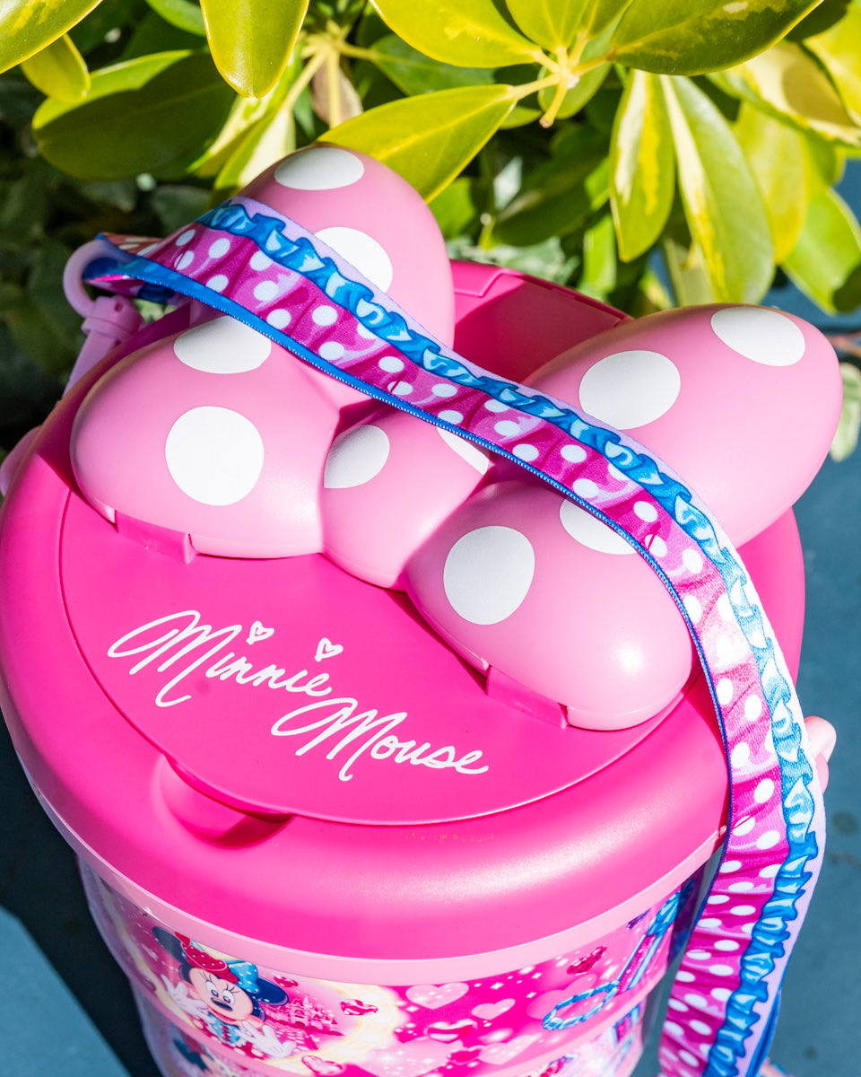 大きなリボン付き！ 東京ディズニーランド 「ディズニー・パルパルーザ