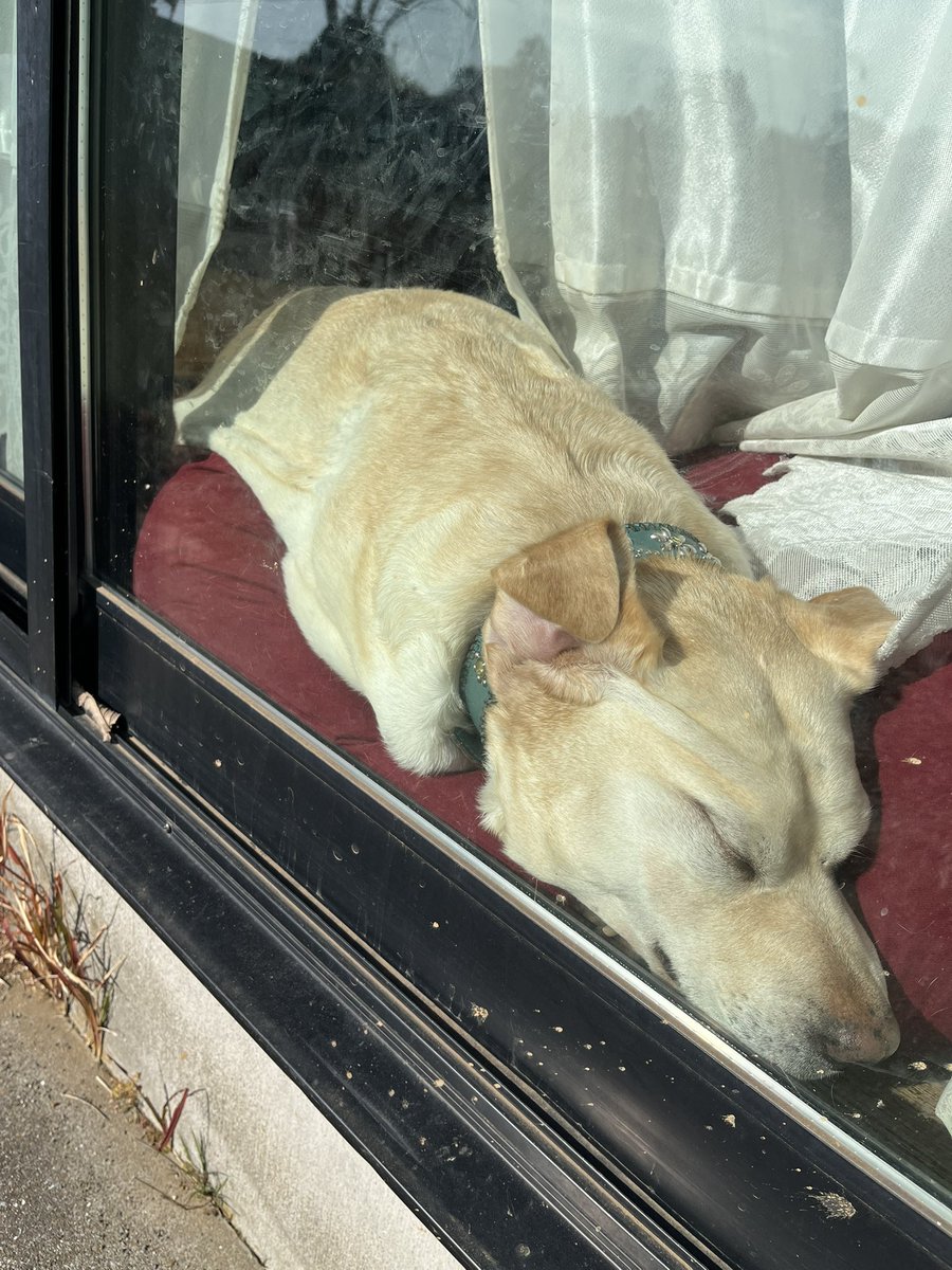 ありんこ@育児奮闘中様 ありんこ@育児奮闘中様 リクエスト 2点 まとめ