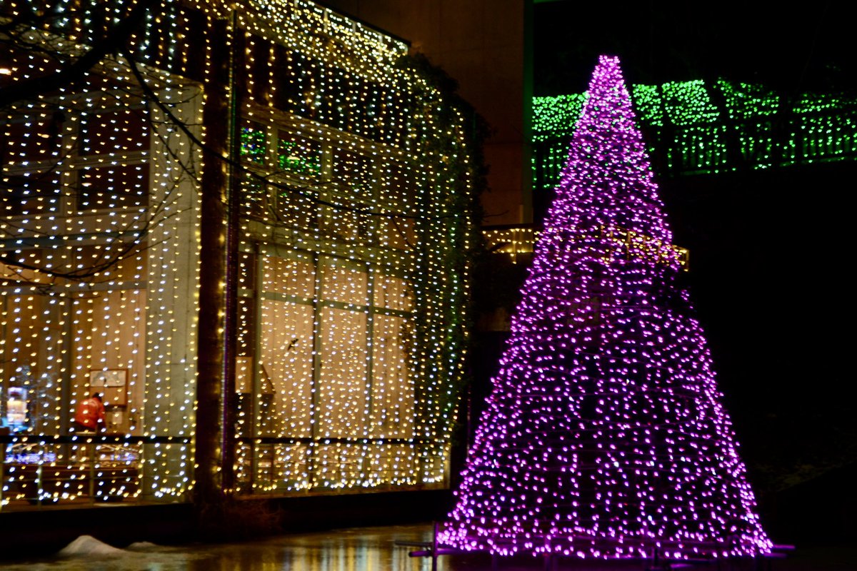 Winter Illumination 2025開催中！ キラキラ輝くイルミネーションをお