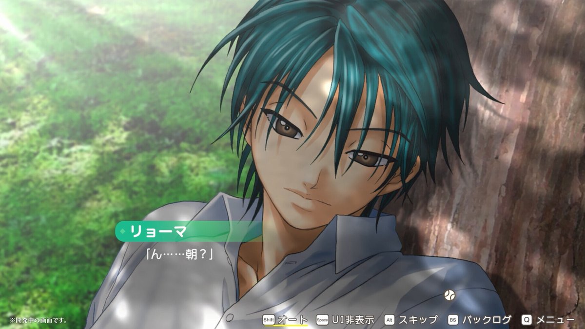 テニスの王子様』の恋愛ゲーム『学園祭の王子様』と『ドキドキ