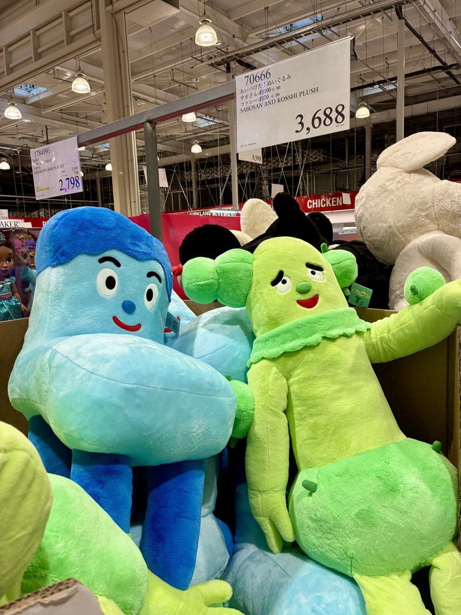 コストコでほぼ等身大では⁉️のコッシーとめちゃデカいサボさん（1m