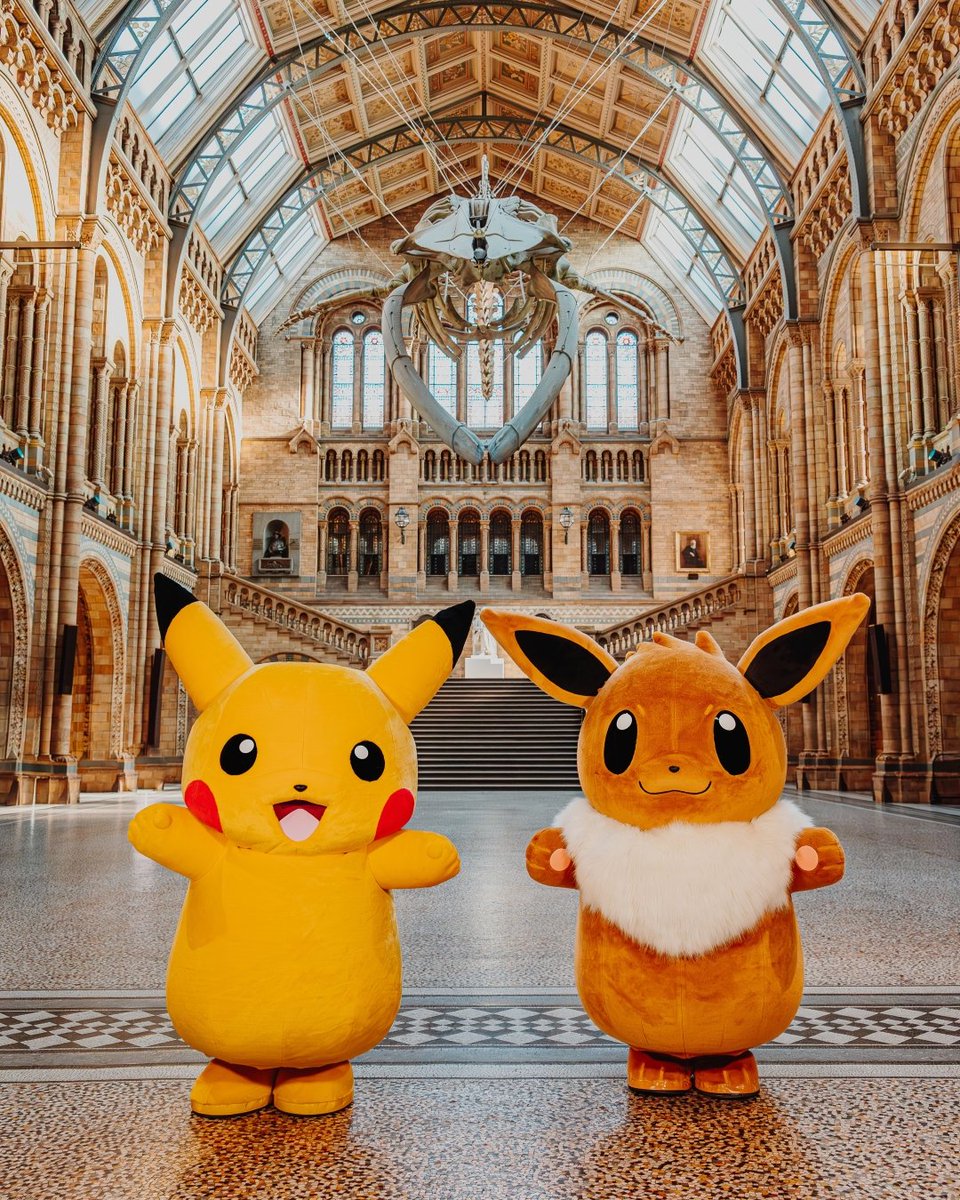 ピカチュウぬいぐるみ 自然史博物館 ポケモン Pikachu at the Museum