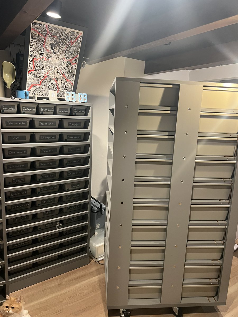 06snakeracks (@06snakeracks) / Posts / X