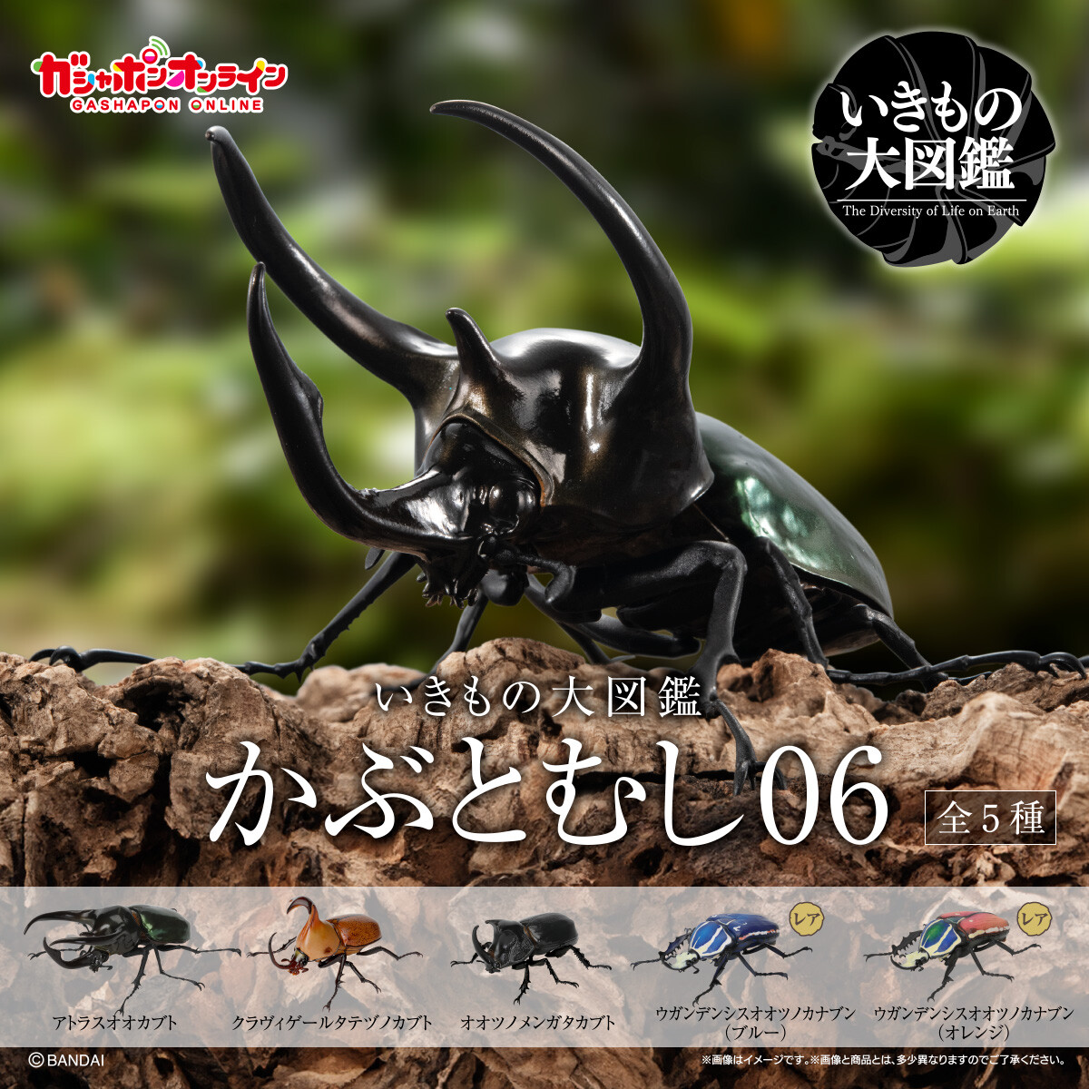 いきもの大図鑑 かぶとむし06 （税込500円） ＼ #ガシャポン