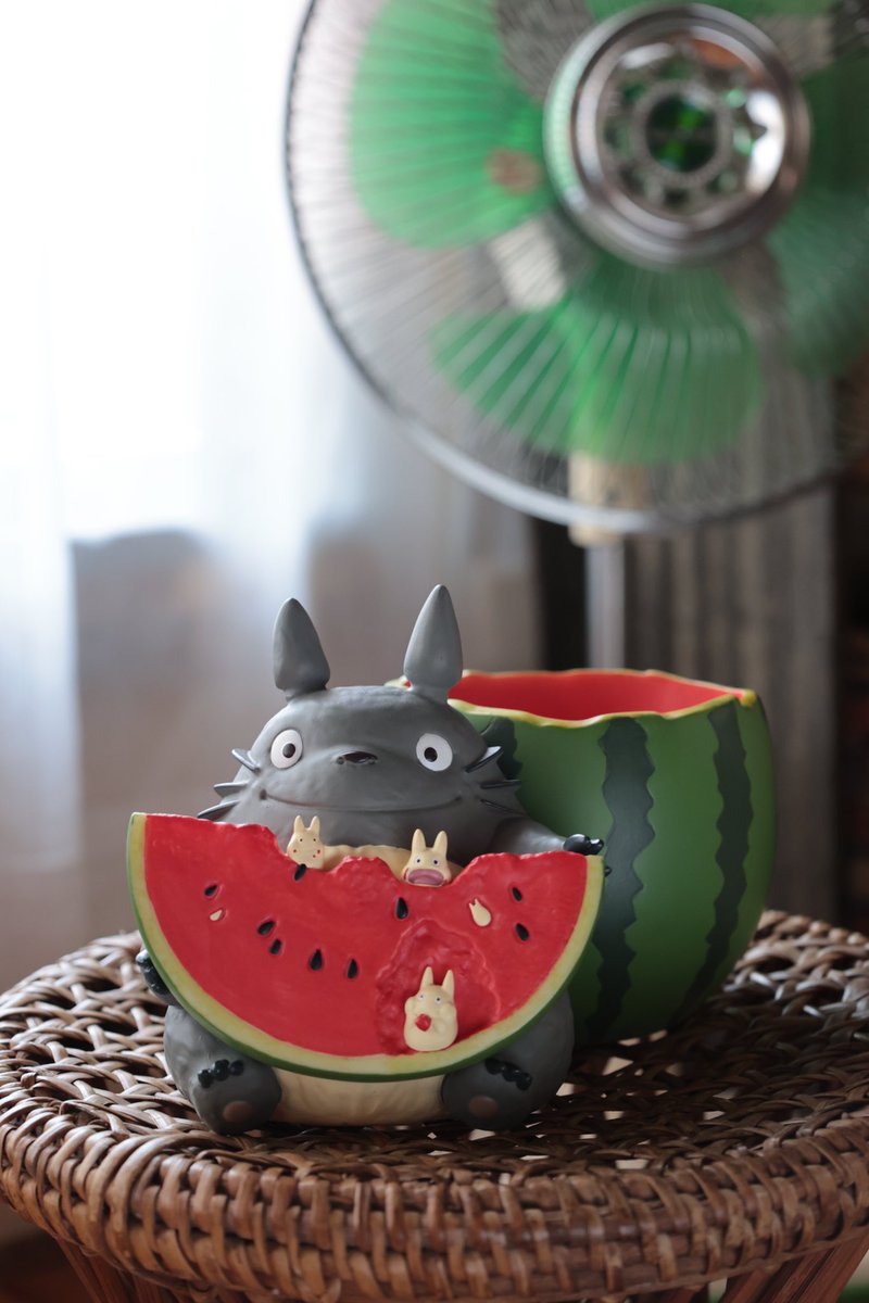 となりのトトロ 🔸プランターカバー スイカ畑から ￥10,890 🔸風呂敷