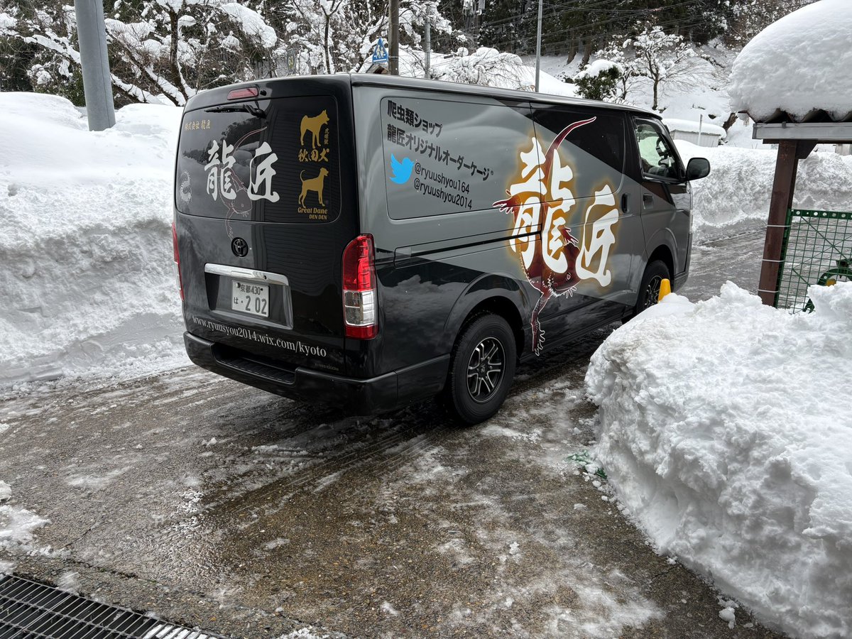 龍匠オリジナルオーダーケージ®︎ (@ryuushyou164) / Posts / X