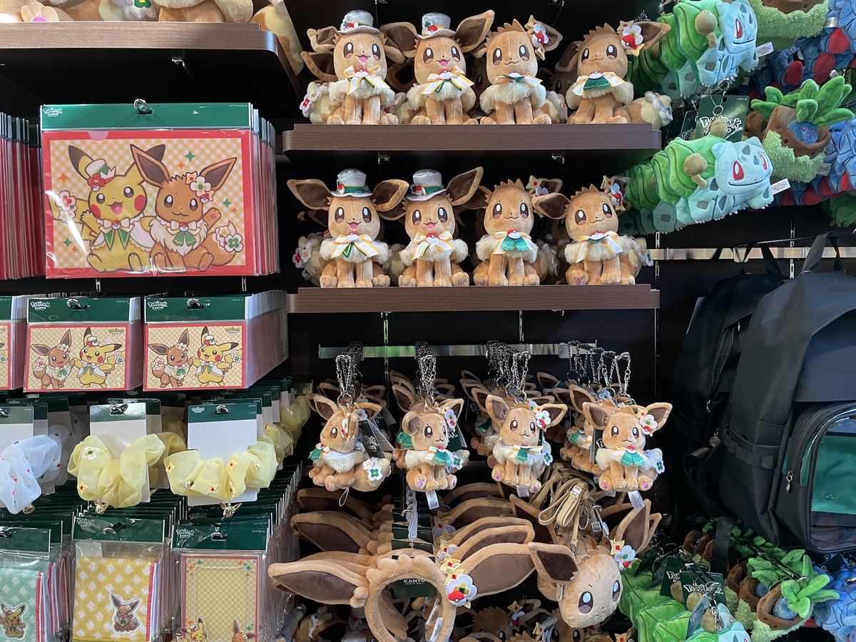 ポケパーク カントー オリジナルグッズ紹介 イーブイの大きな