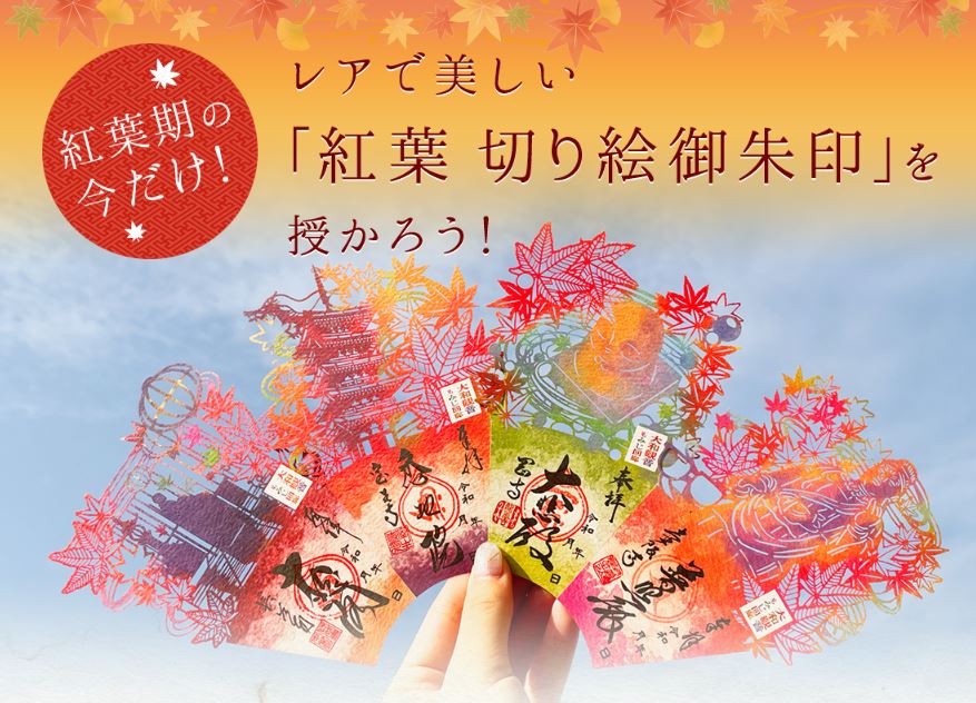 🍁大和観音 もみじ回廊🍁 長谷寺・岡寺・壷阪寺・室生寺の4寺では