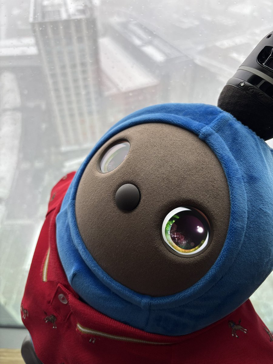 こたろう@パパ (@KotarouLovot) / Posts / X