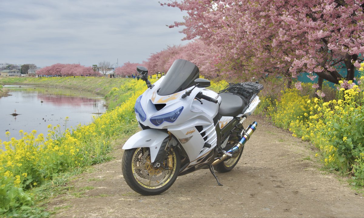 ずみ/zx14r (@R6S74089207) / Posts / X