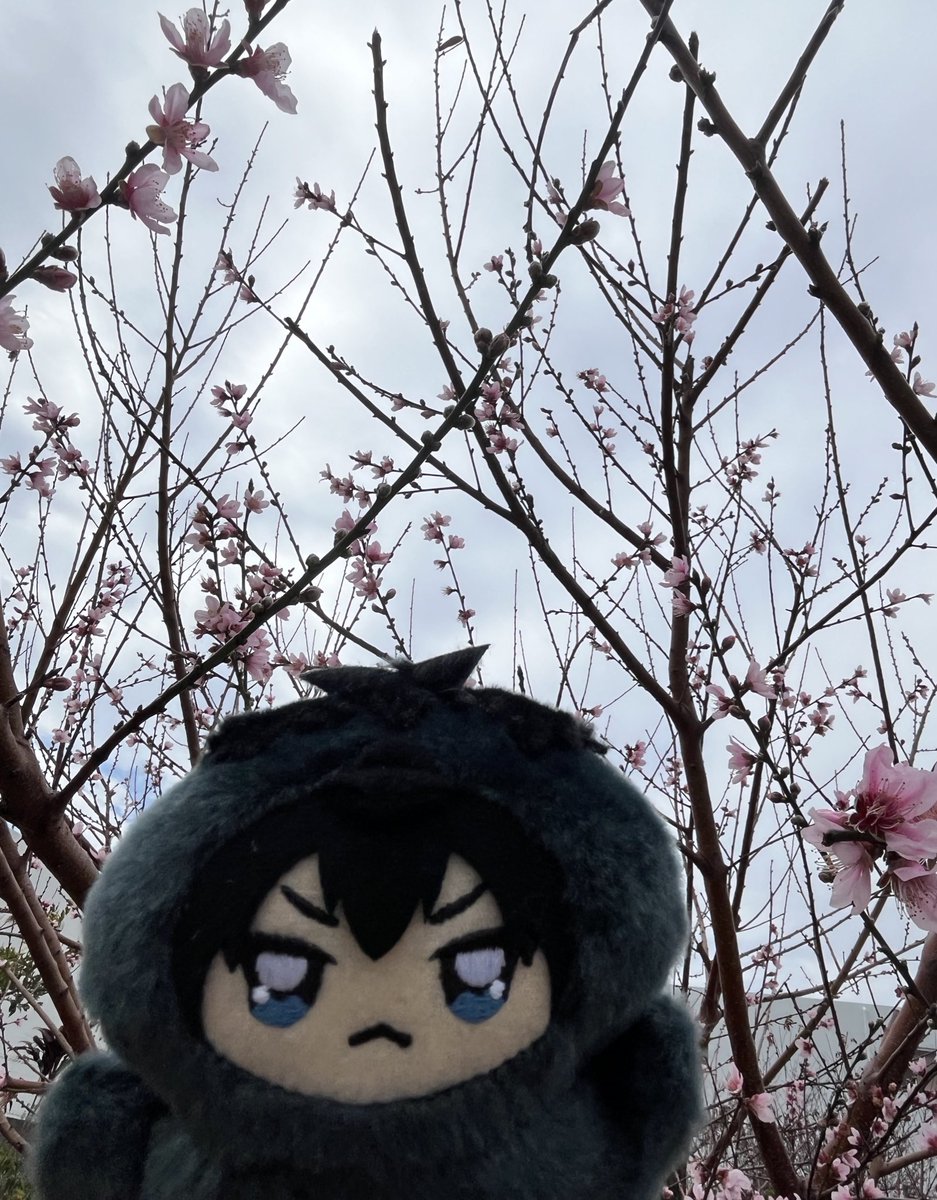 なな (@na_na_0073) / Posts / X