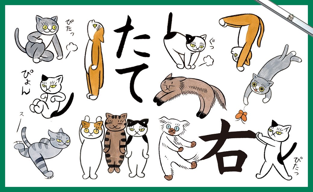 石黒亜矢子 (@ishiguroayako) / Posts / X