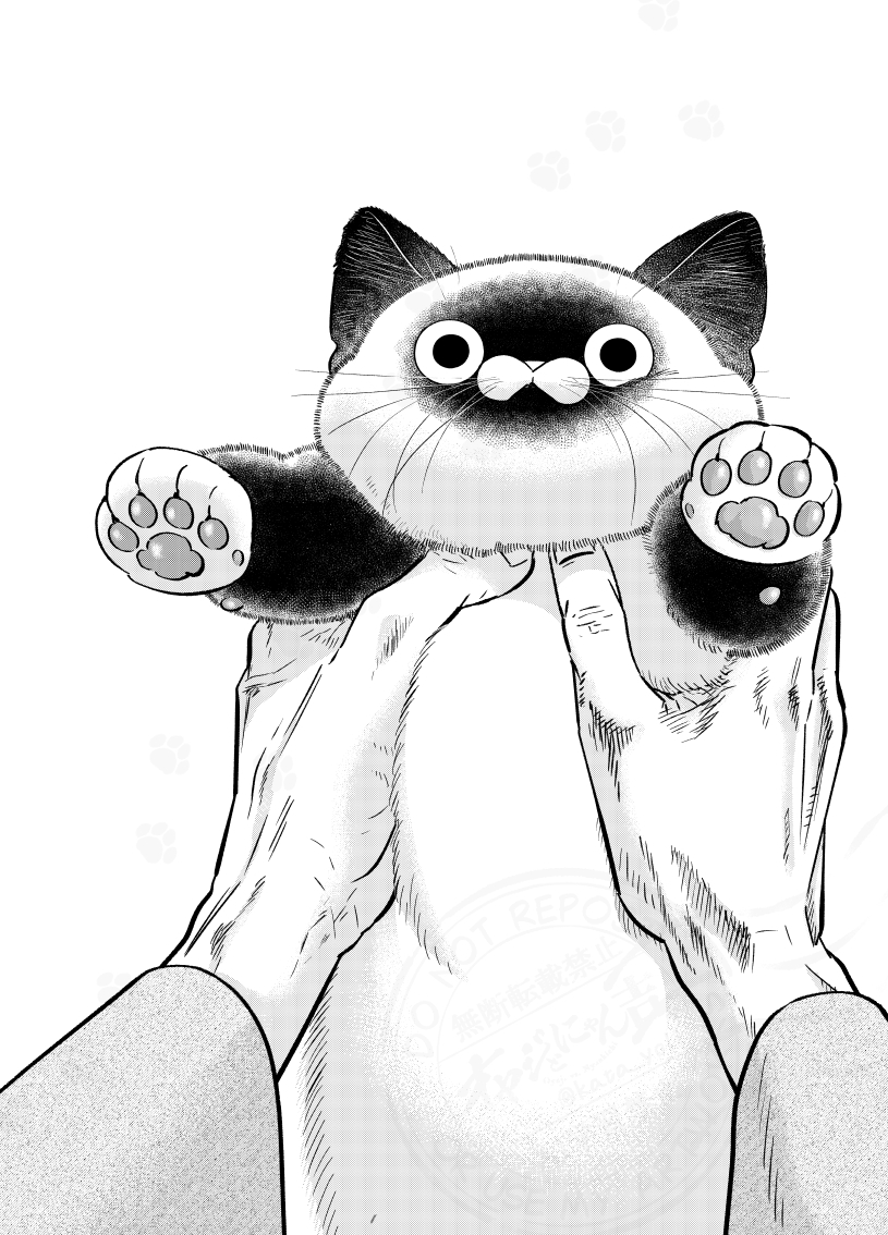 オヤジとにゃん吉🐾公式 (@oyazitonyankiti) / Posts / X