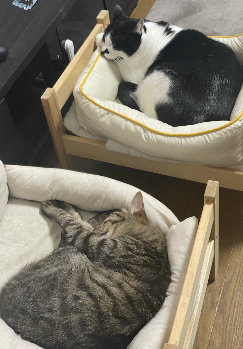 まぁちゃん (@maaachan84) / Posts / X