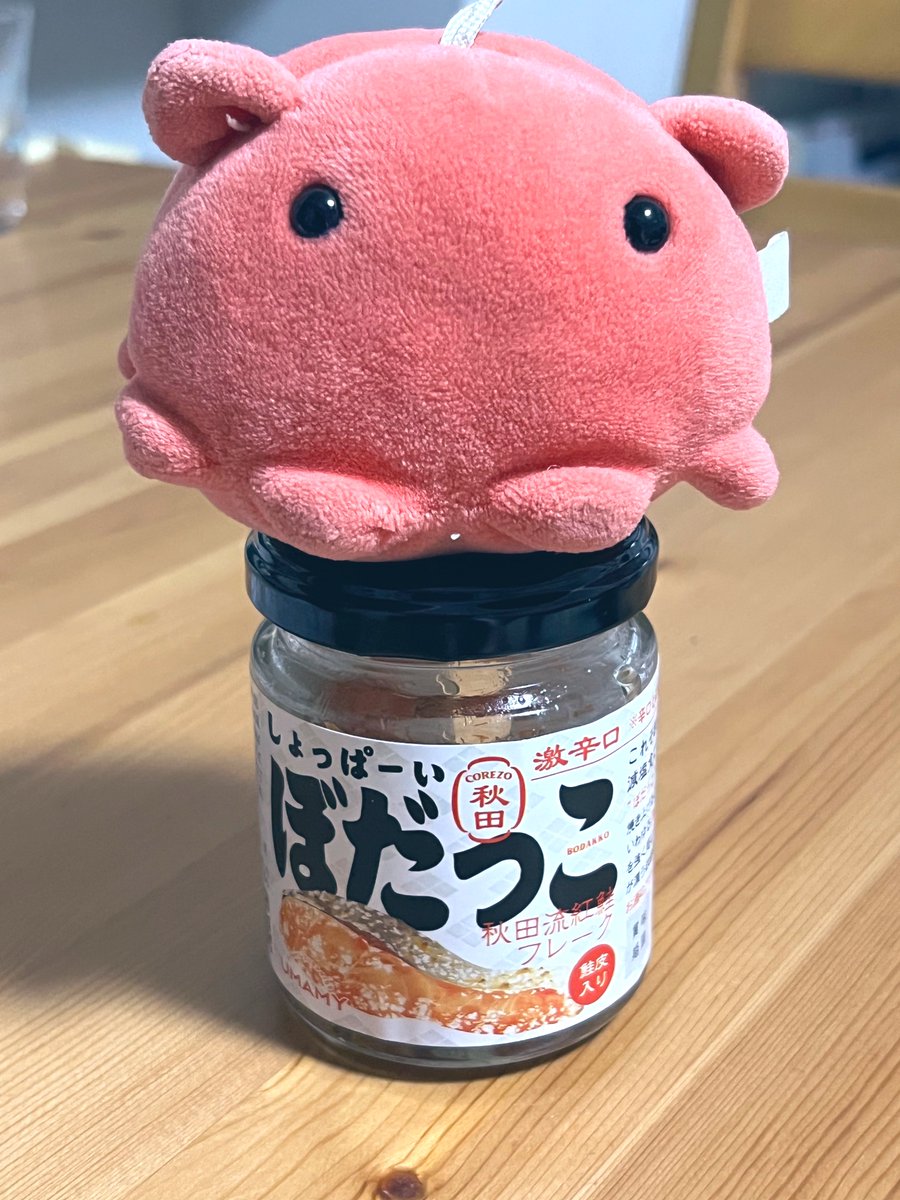 旅するめんだこ (@with_mendako) / Posts / X