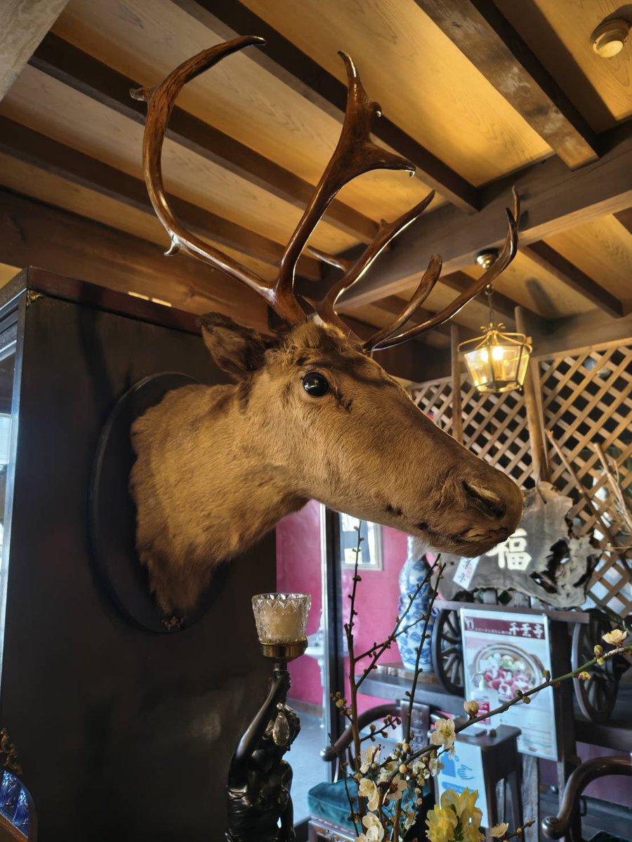 wakko_breakout 鹿🦌とか猪🐗の剥製見ながら、🦌🐗🥩食べちゃうくらい
