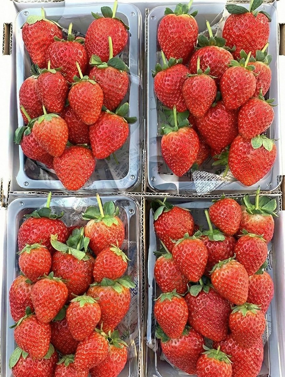 みぃ (@mii925) / Posts / X