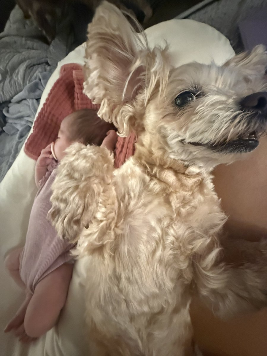 Yuzu🇯🇵🇺🇸🏄‍♀️ (@yuzupiiing) / Posts / X