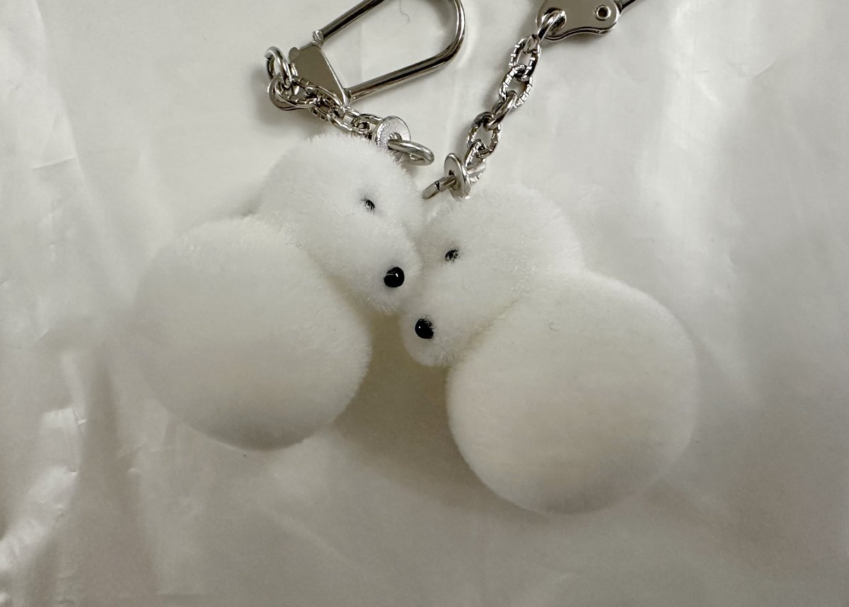 カネヒラ (@simainusima) / Posts / X