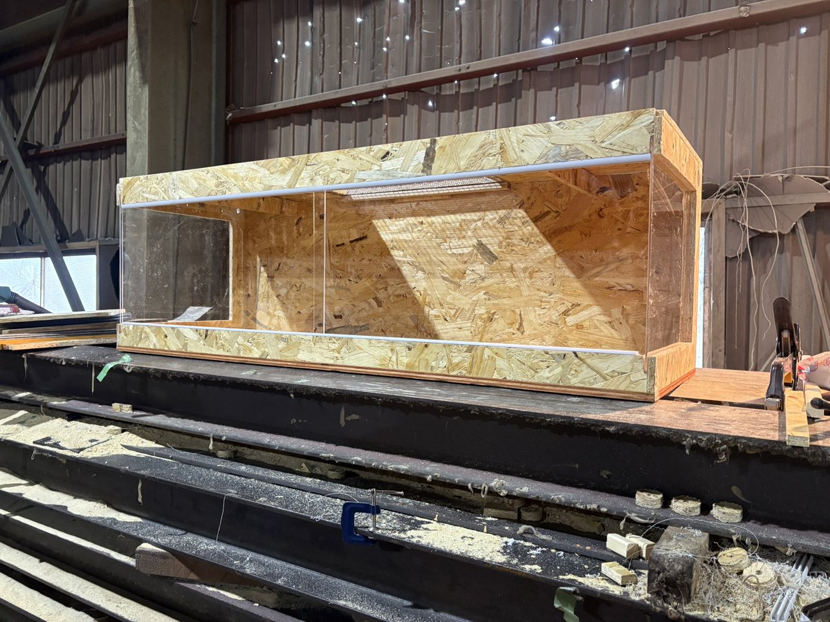 今日はこの辺で！！ おやすみなさい！ #木製ケージ #爬虫類