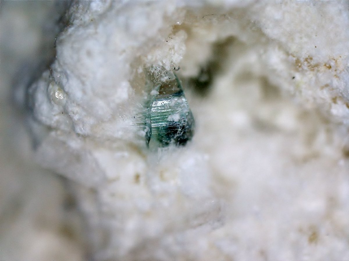 沼野石 Numanoite 岡山県備中町布賀鉱山 FOV 1cm Borcarite結晶中の