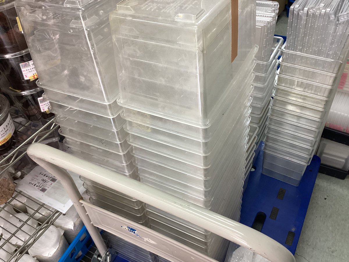 中古のコバエシャッターを放出します。 小ケース ¥300 中ケース ¥500